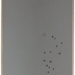 10 sprg brown maple chelsea gray 10 sprg brown maple chelsea gray