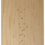 7 ssg brown maple natural 7 ssg brown maple natural