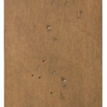 7 ssg maple husk 7 ssg maple husk