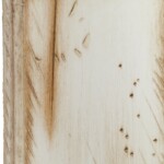 antiquated brown maple parchment antiquated brown maple parchment